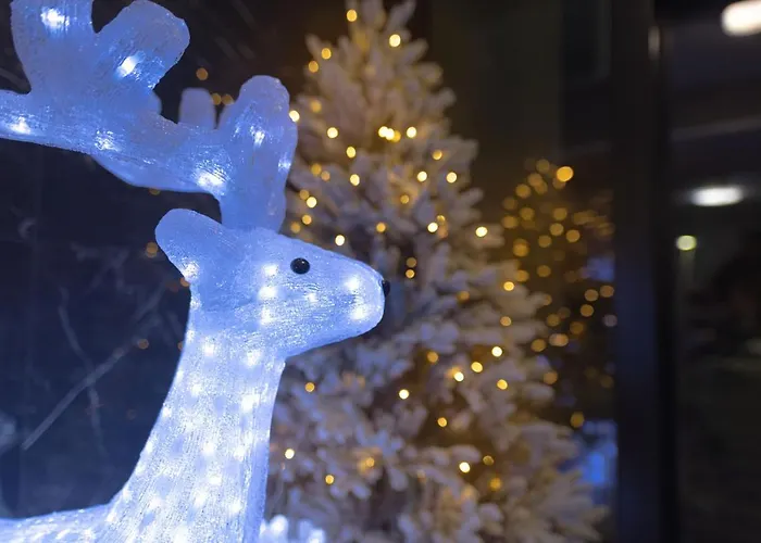 Royal Roi Luxury * Rovaniemi